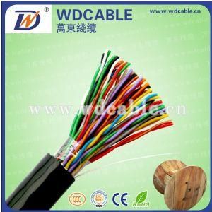 Outdoor Amored 100 Pairs Cable