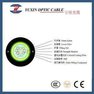 2 / 4 / 6 / 8 / 12 / 16 / 24 Core Single Mode Outdoor Armoured GYXTW Fiber Optical Cable 1km Price