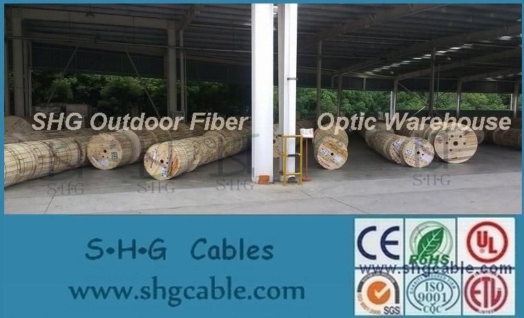 Hot Sale Low Cost Factory Price All Dielectric 1/2/4 Cores Fibers Drop FTTH Fiber Optic Cable (GJYXFCH)