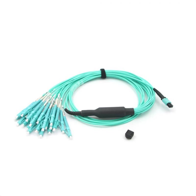 MPO (F) - MPO (F) 12 Core Fiber Optical Patch Cord with 5m