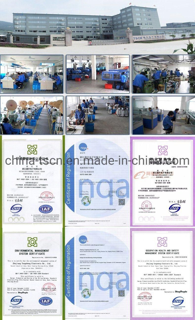 Tscn Customized Electrical Automotive Automobile Wire Harness