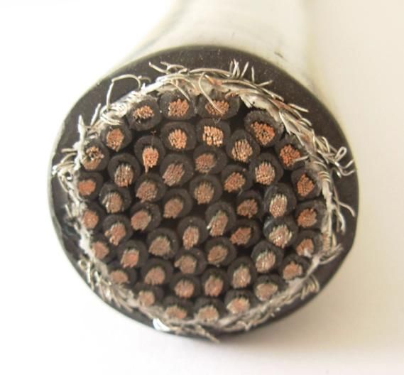 600V Copper Wire Shield Control Cable