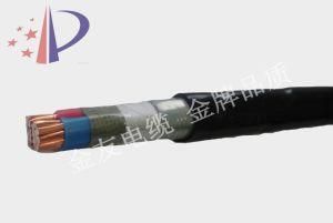 XLPE Insultaed Copper Conductor 0.6/1kv Power Cable (2*70mm2)