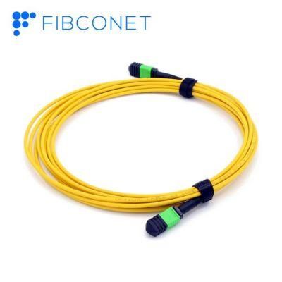 MPO to MPO Female Om3 12/24 Fibers MPO Patch Cord