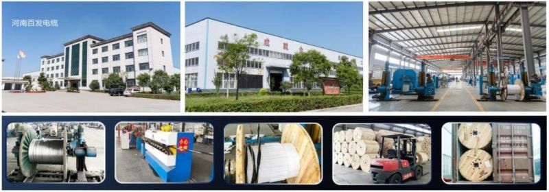 Aluminum Alloy 8000 Conductor Silane XLPE Insulation Building Wire Xhhw Cable 750mcm