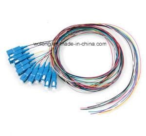 12 Core Sc Fiber Optic Pigtail