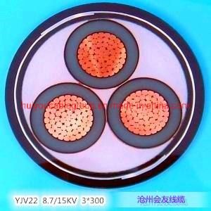 Mv Steel Tape Armoured Power Cable (yjv22) XLPE PVC Steel Tape Cable Electric Wire Cable