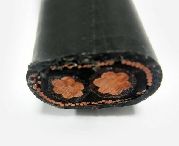 2X8 2X10 3X6 3X8 AWG XLPE Insulated Concentric Cable