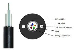 Non-Metal Central Loose Tube out Fiber Optic Cable (SWK-10-0001-103)