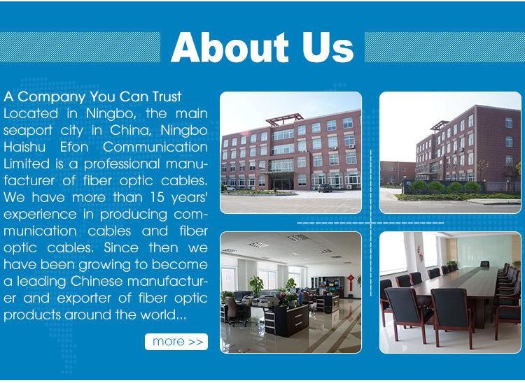 FTTH Indoor Cable 2 Core Singlemode/Monomode Indoor Optical Fiber Cable