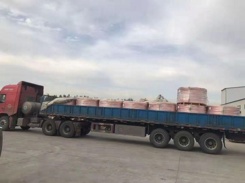 Copper Clad Steel Wire /Copper-Clad Aluminum/Ccaw/Copper Clad Aluminium Conductor /CCAM /Copper Coated Wire