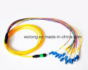 MTP/MPO Om3 12cores Fiber Optic Patch-Cord