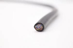 High Performance Awm 2464 24AWG Cable with Braid Cable CSA Awm Cable PVC Copper Thinned Wire Electrical Control Power Cable
