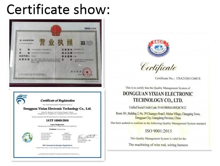 ISO9001&IATF16949 Certificate Factory Provide PA66 Copper Wire Harness with Te Terminal Housing