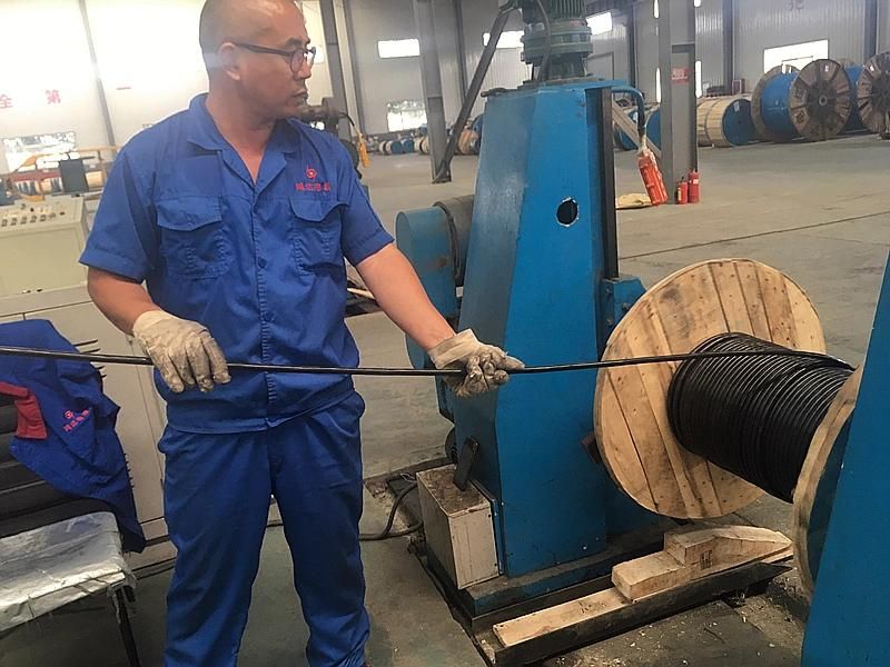 0.6/1kv XLPE Insulated Halogen Free Flame Retardant Polyolefin Sheathed Power Cable Hfco