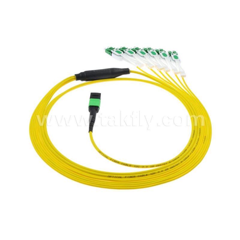 Data Center Networking 12f MPO to 6 LC Duplex Fiber Optic Breakout Patchcord