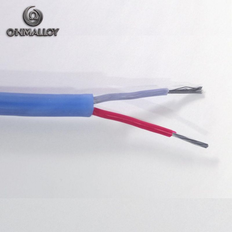 Jx High Quality Silicone Rubber Thermocouple Type J Extension Cable Class I Accuracy ANSI
