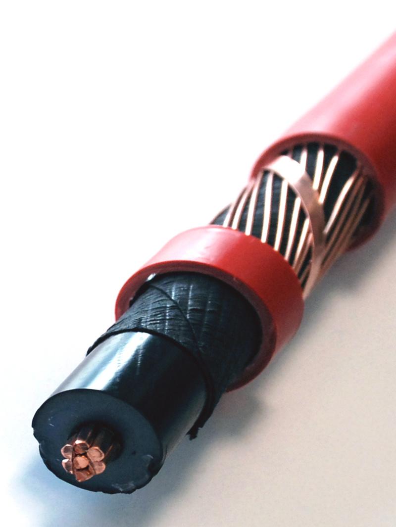 N2xsy/A2xsy/Na2xsy 2xsy Cable Cu/Al XLPE Insulation Copper Wire Screen PVC Cable