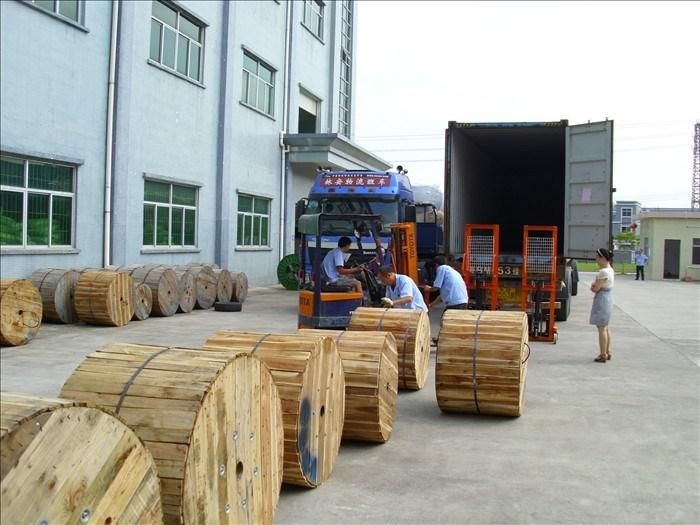 Factory LSZH 8/12/24 Core Fiber Optic Armoured Cable (GYXTW)