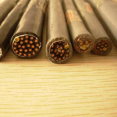 2X10mm2 Service Cable Aluminum Conductor