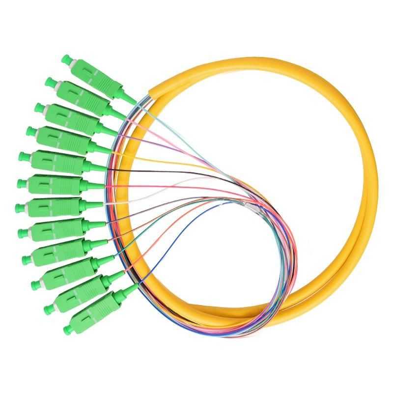 12 Core Sc Upc APC Fiber Optic Pigtail