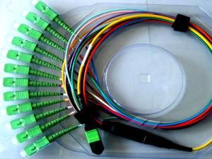 MPO-Sc/APC MPO and MTP Fiber Optic Patch Cords and Cable Assemblies with 8-Core, 12-Core, and 24-Core