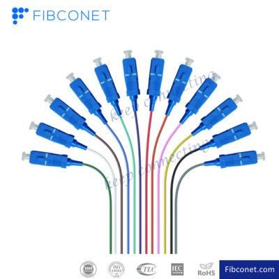 FTTH Single Mode 4 6 8 12 24 48 96 Core Distribution Sc Upc APC Fan-out Bundle Fiber Optic Pigtail