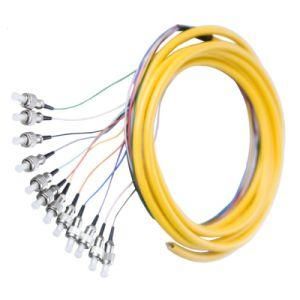 FC Fiber bundle/Fiber Pigtail (12 CORE)