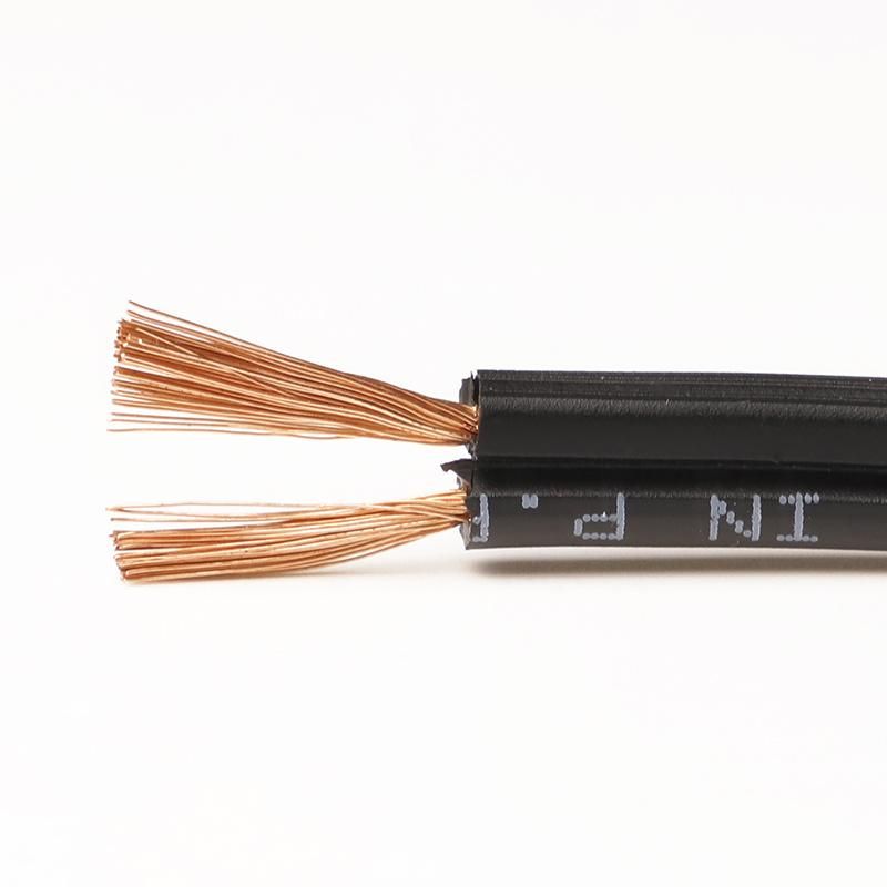 Flat Copper Leather Cord, Flat Flexible Wire, PVC Insulation 2 Cores Electric Wire