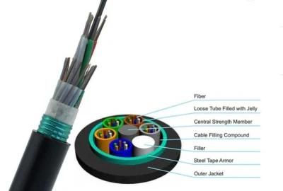 Gjsfjbv 2 Cores Single Mode FTTH Optical Fiber Cable Indoor Cable Gjxh-2b6a From China Manufacturer