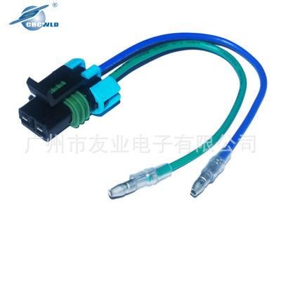 OEM Factory Car Lamp Cable with 2p Waterproof Connectror